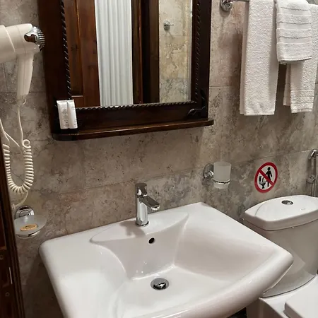 维拉亚历山大酒店 4*