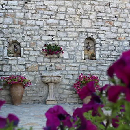 מלון Aleksander 4*