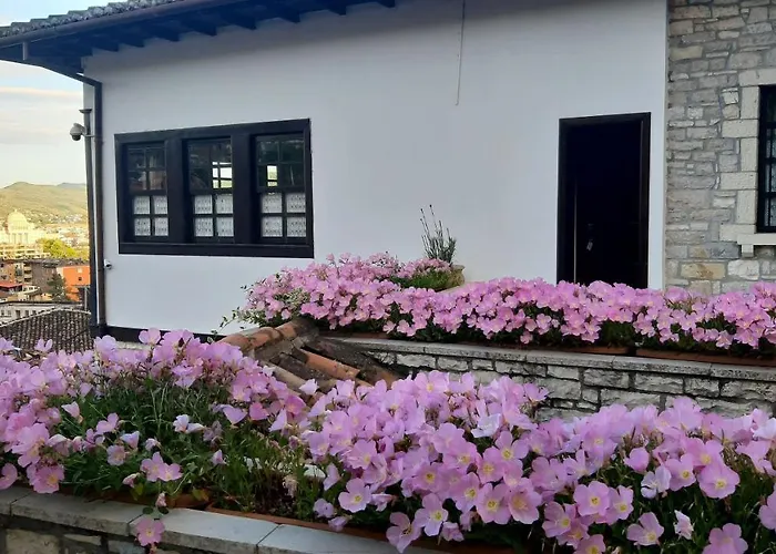 维拉亚历山大酒店 培拉特