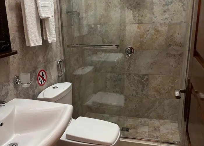 维拉亚历山大酒店 酒店 培拉特