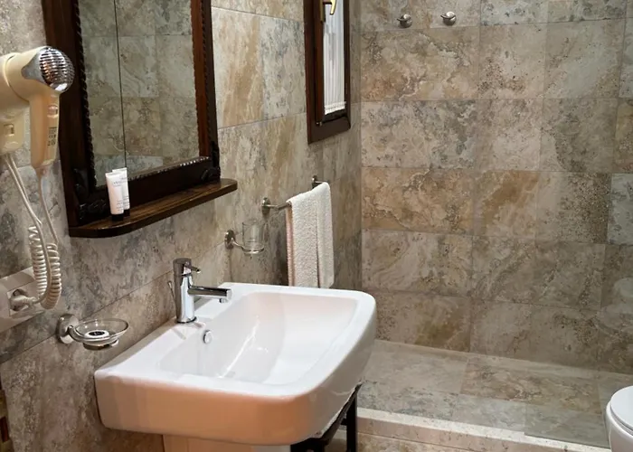 酒店 维拉亚历山大酒店 培拉特