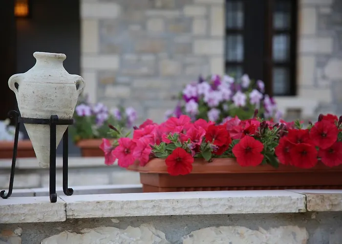 维拉亚历山大酒店 酒店