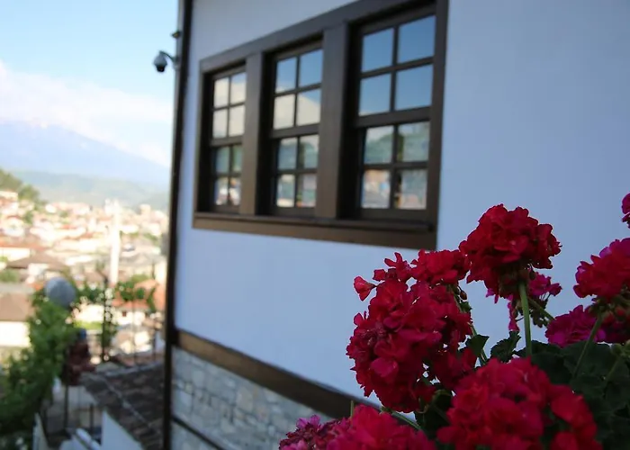 酒店 维拉亚历山大酒店 4*