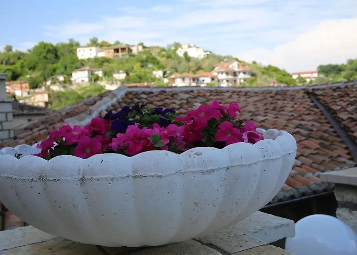 维拉亚历山大酒店 酒店