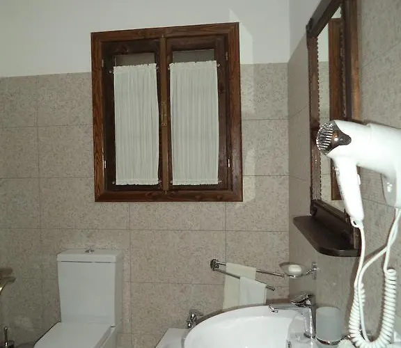 酒店 维拉亚历山大酒店 4*