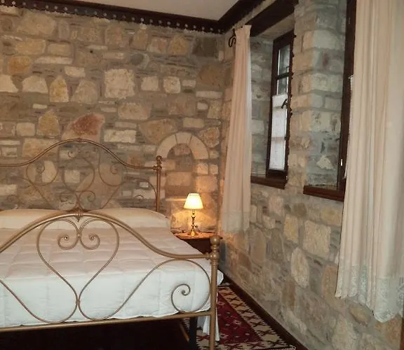 酒店 维拉亚历山大酒店 培拉特