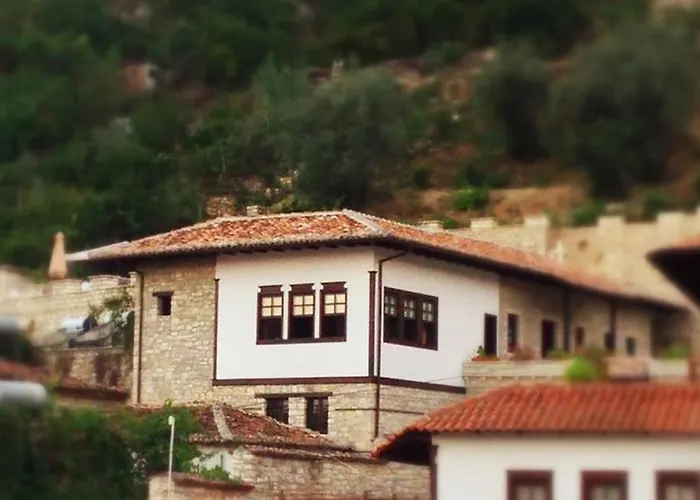 维拉亚历山大酒店 酒店