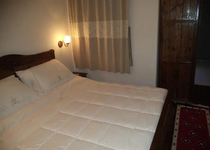 维拉亚历山大酒店