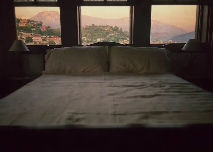 酒店 维拉亚历山大酒店 4*