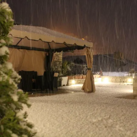 Aleksander 4* בראט